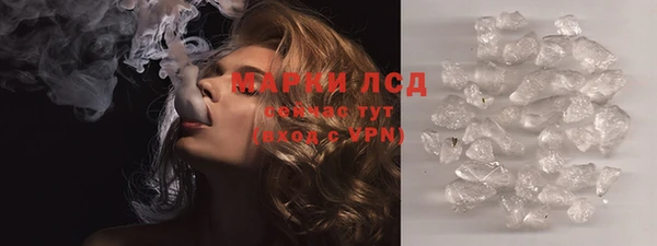 PSILOCYBIN Белокуриха