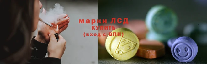 ГАЛЛЮЦИНОГЕННЫЕ ГРИБЫ Балахна